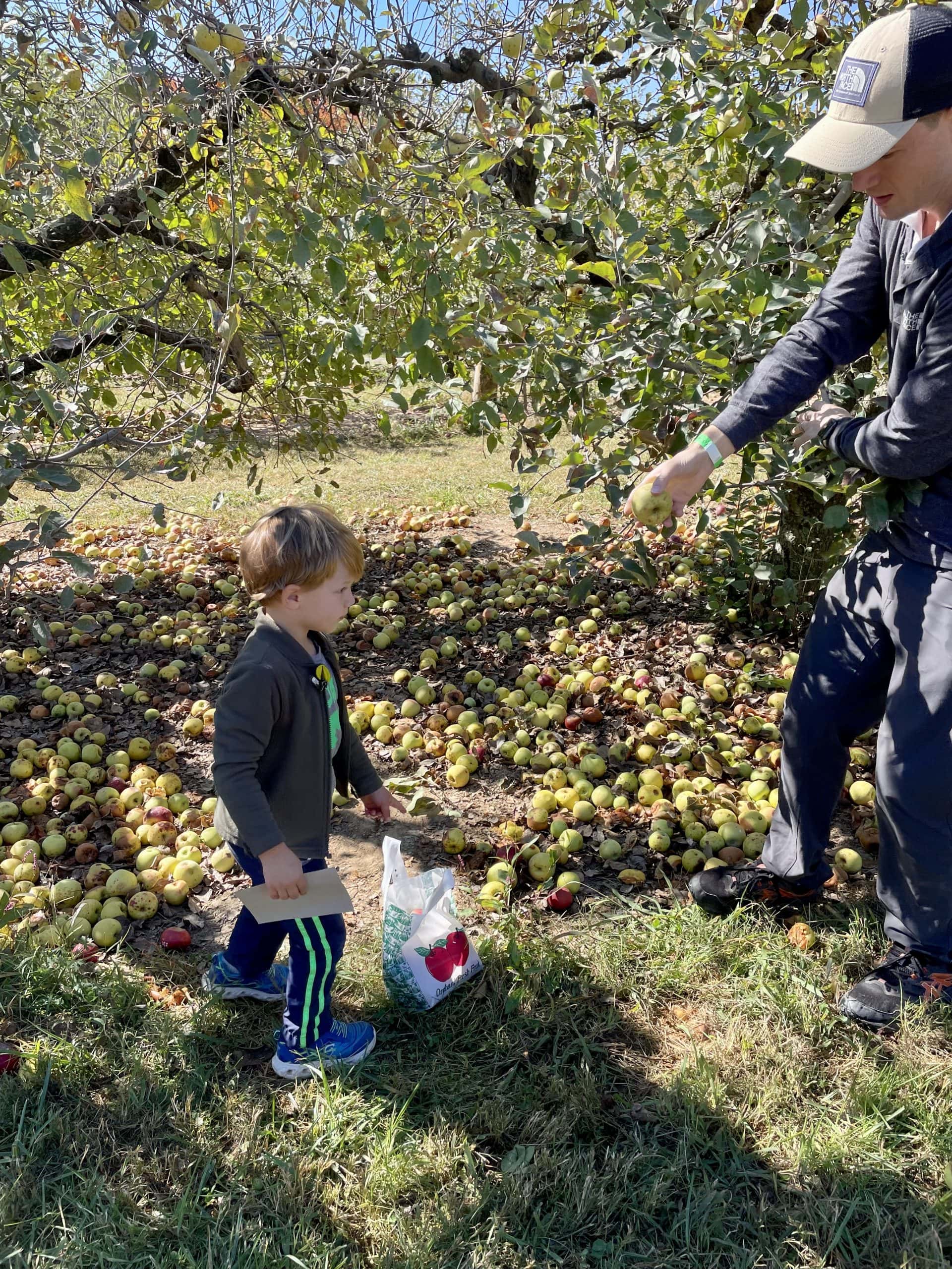 Devotion: The Orchard & God's Kingdom - FUMC