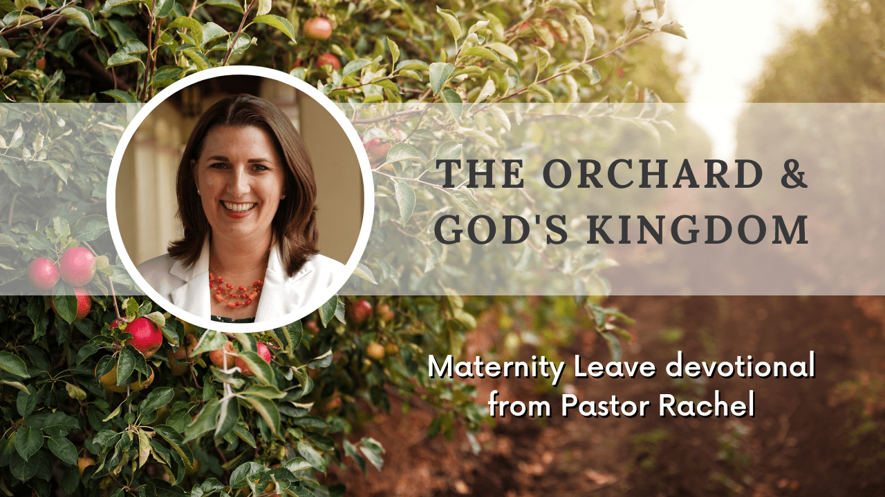 Devotion: The Orchard & God’s Kingdom