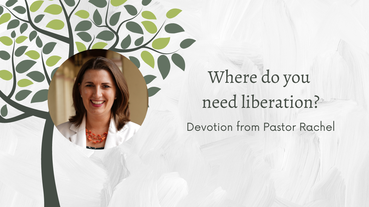 Devotion: Where do you need liberation?