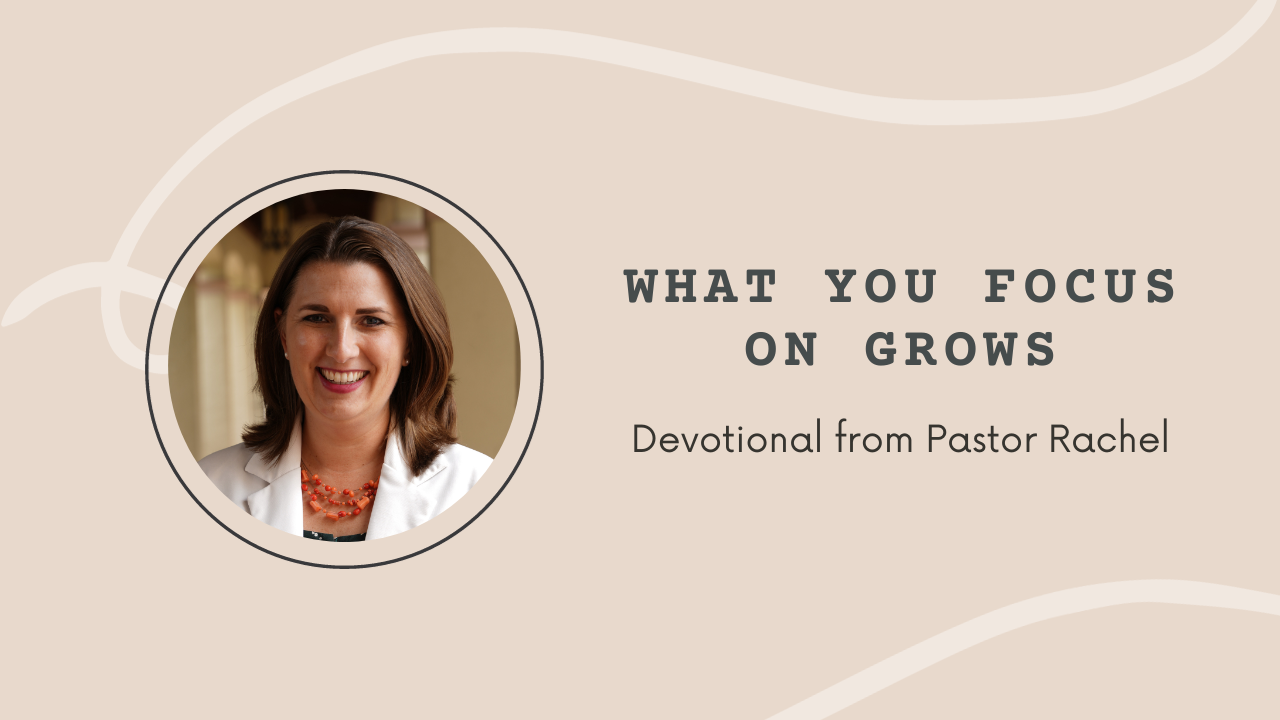 Devotion: What you focus on grows