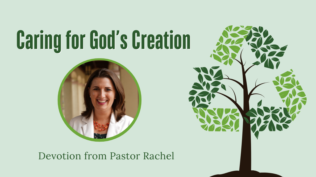 Devotion: Caring for God’s Creation