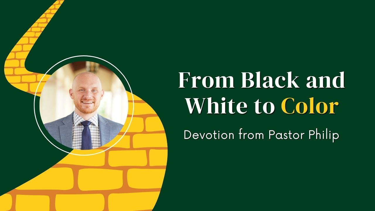 Devotion: From Black and White to Color