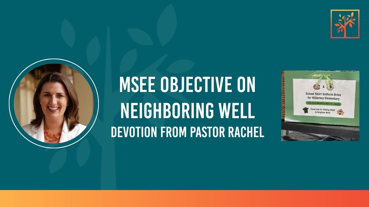 MSEE Objective on Neighboring Well